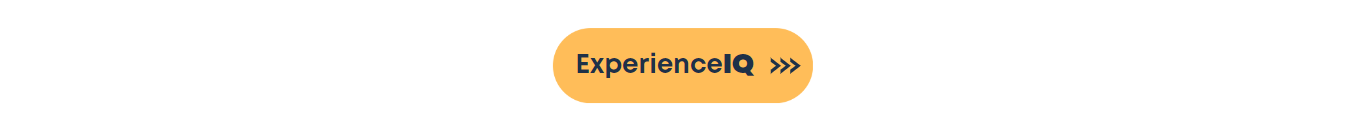 ExperienceIQ content block 12 - button