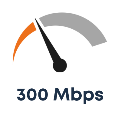300 Mbps - For the casual web user.
